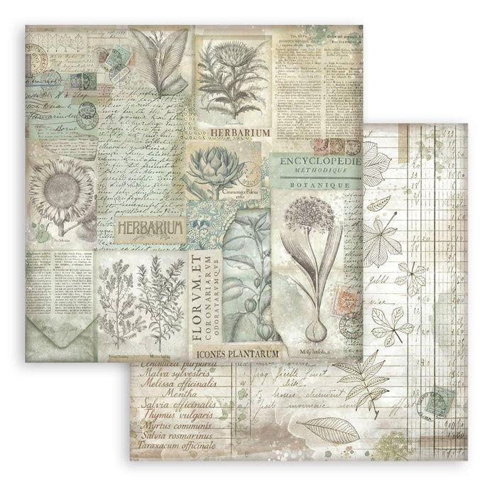 Herbarium Silvae Backgrounds Pad 12"X12"