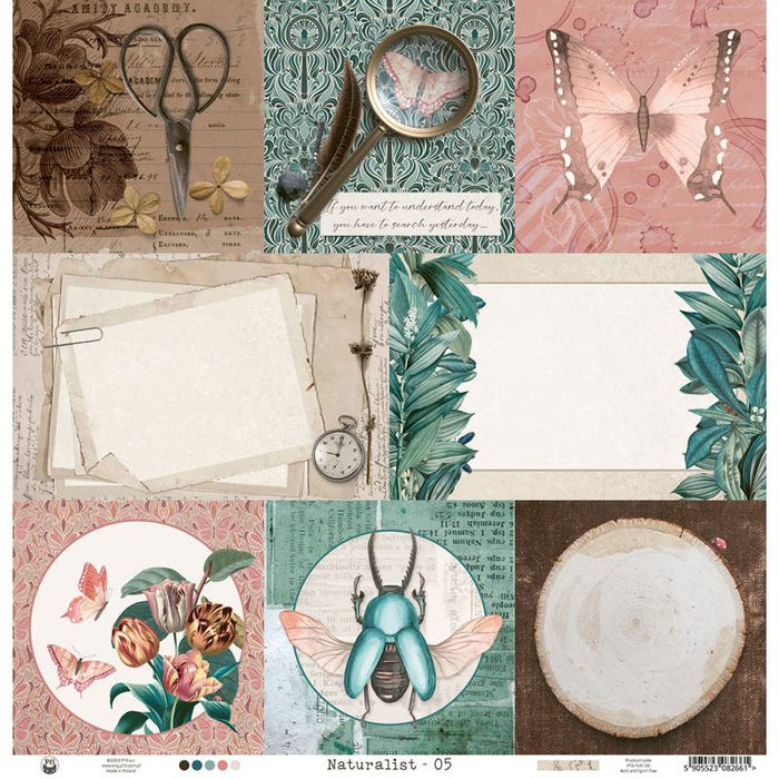 NATURALIST PAPER 05