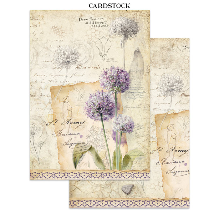 Stamperia Junk Journal - All Around