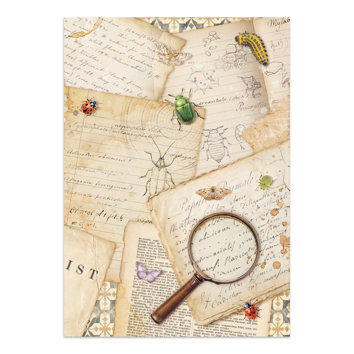 Stamperia Junk Journal - All Around