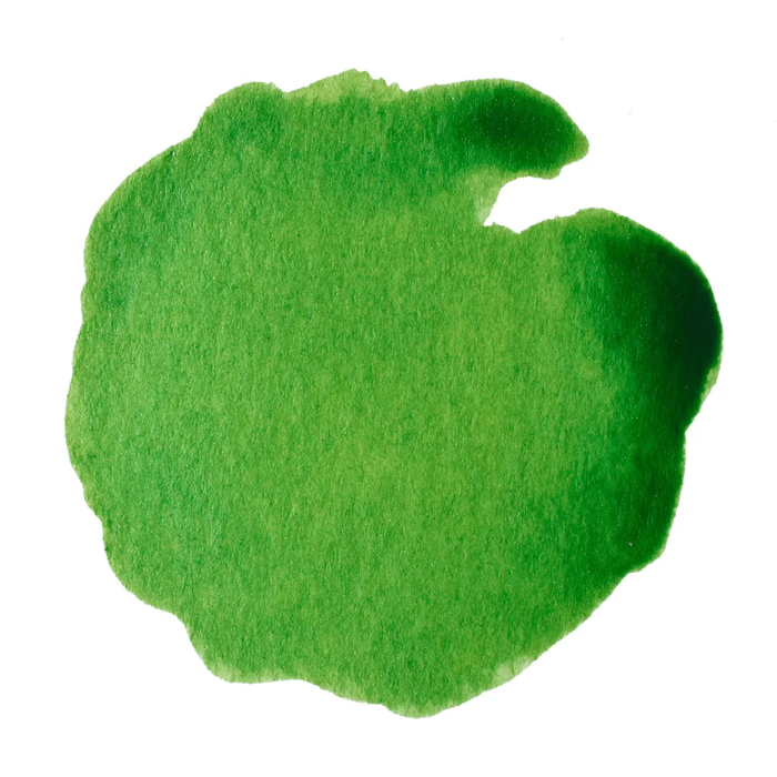 Winsor and Newton Drawing Ink 14ml - Apple Green