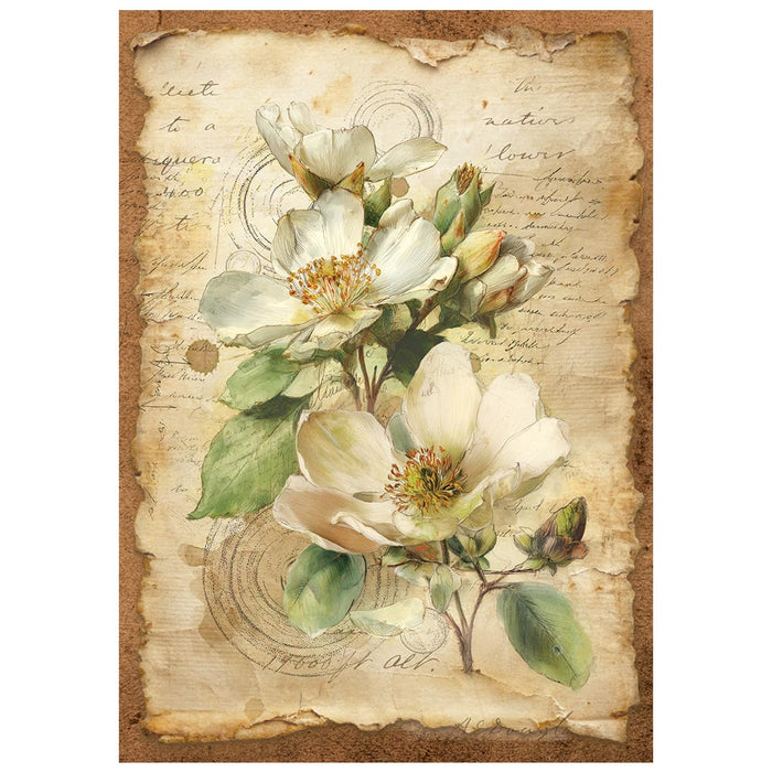 Printed Mini Rice paper A6 - All Around