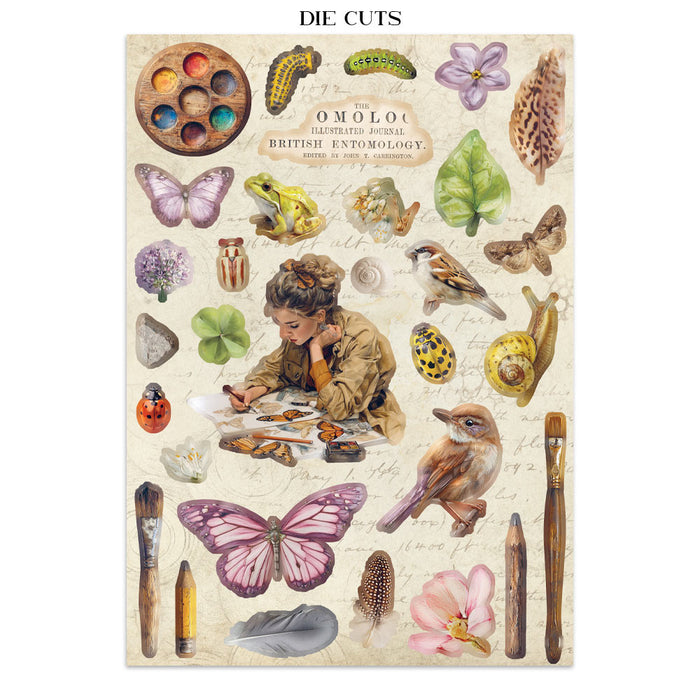 Stamperia Junk Journal - All Around