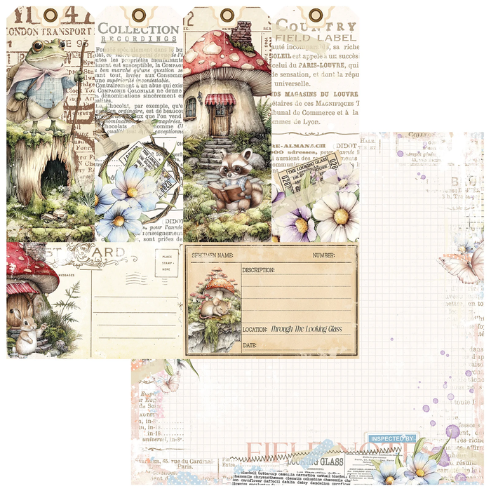 The Looking Glass Paper – Collector of Echoes