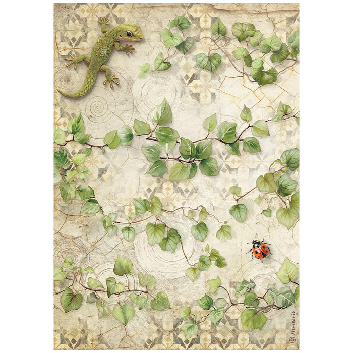 Rice paper Selection A4 - All Around
