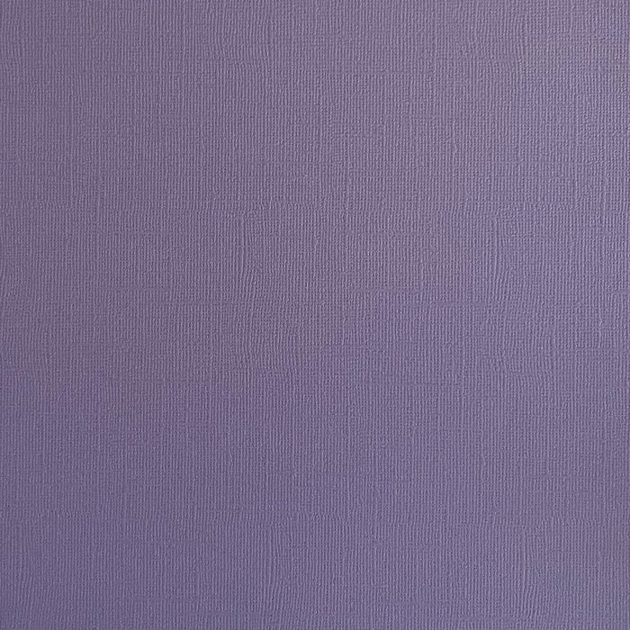 ASTER - Canvas Texture Cardstock