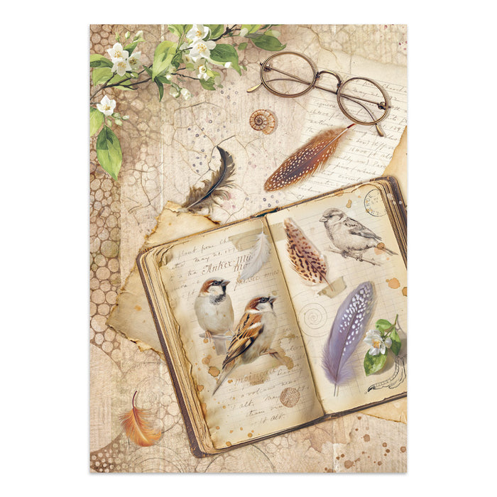 Stamperia Junk Journal - All Around