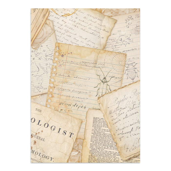 Stamperia Junk Journal - All Around