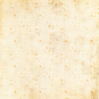 Floral Archives - Pressed Flowers Paper