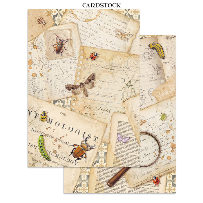 Stamperia Junk Journal - All Around