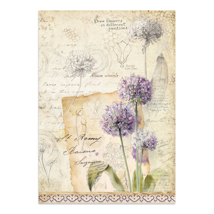 Stamperia Junk Journal - All Around