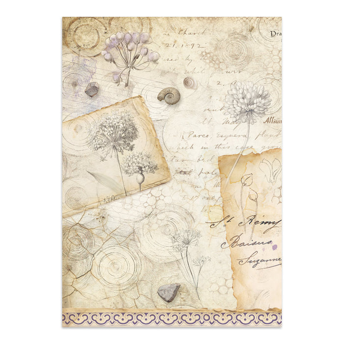 Stamperia Junk Journal - All Around