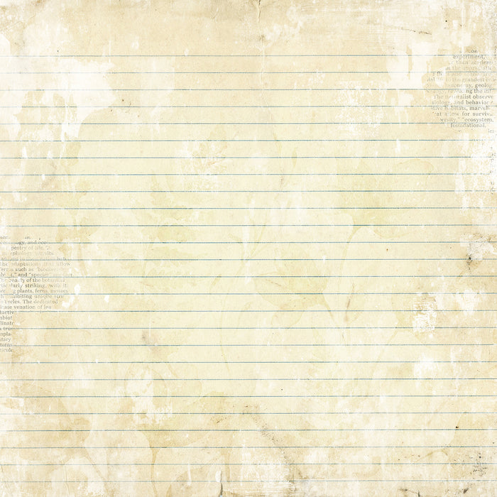 The Quiet Observer Paper – Traces of Flora