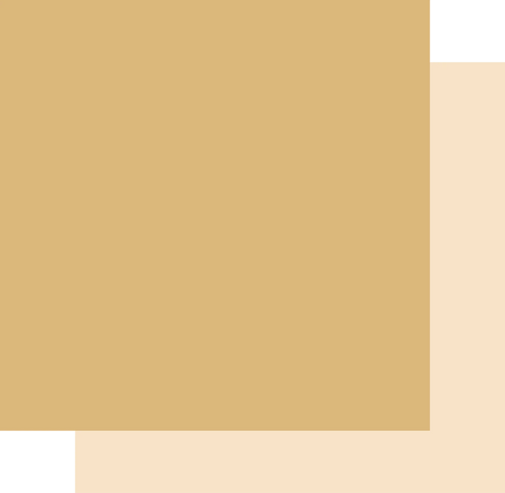 CARDSTOCK - CHAMPAGNE