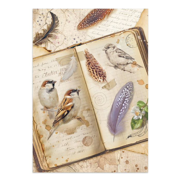 Focus Points Junk Journal - All Around