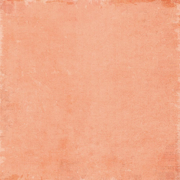 Curiosities In Willow Grove - Staples Pack 12"X12"