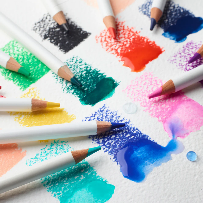 Winsor and Newton Watercolour Pencils x12