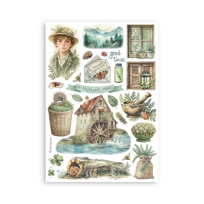 Herbarium Silvae Washi Pad