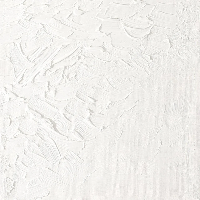 Winsor and Newton Artists' Oil Colour - Titanium White 200ml