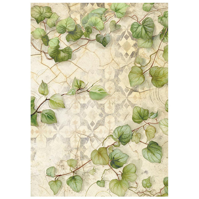 Printed Rice paper A6 Backgrounds - All Around