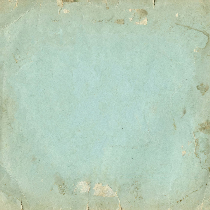 The Quiet Observer – 12 x 12 Solids Collection Pack