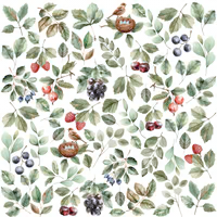 Botanical Chronicles - Natural Beauty Paper