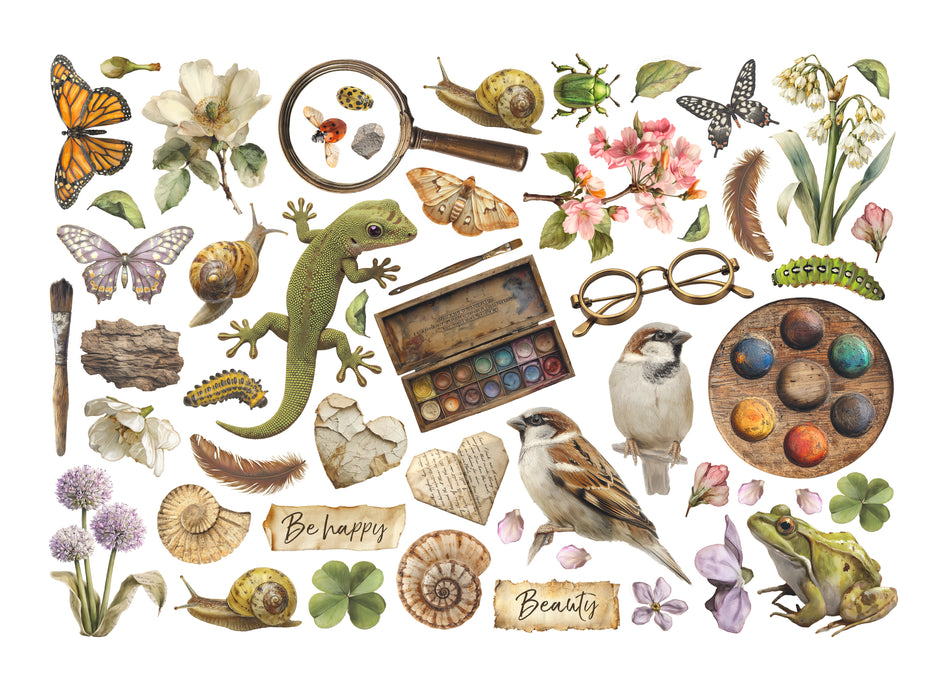 Printed Decorative Ephemera - All Around