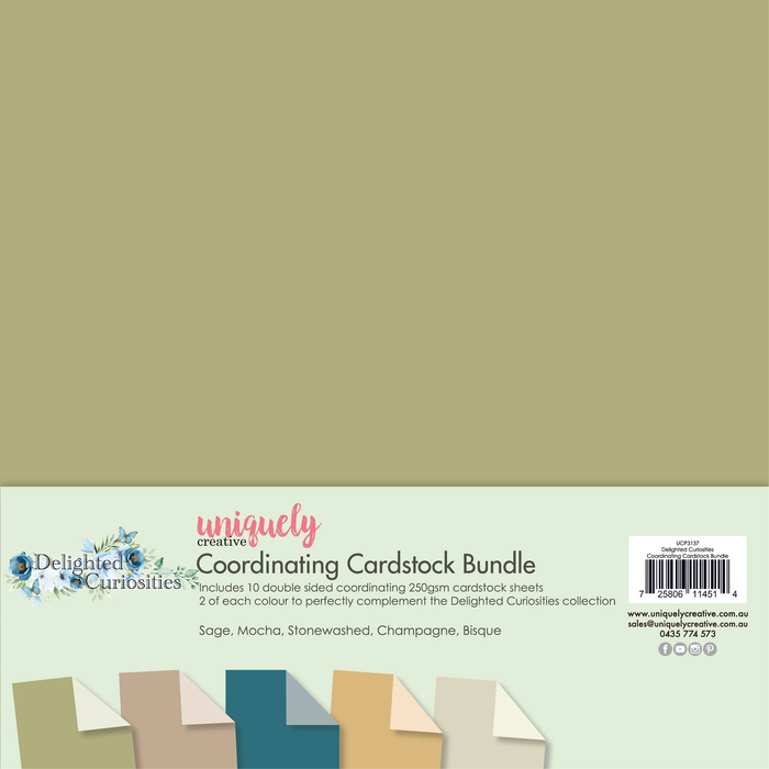 DELIGHTED CURIOSITIES COORDINATING CARDSTOCK