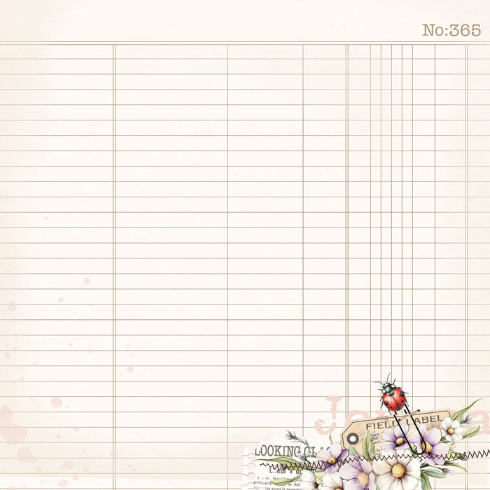The Looking Glass Paper – The Looking Glass