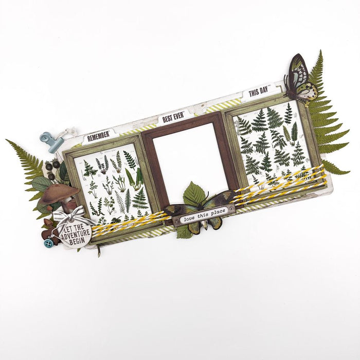 Nature Study Cluster Kit