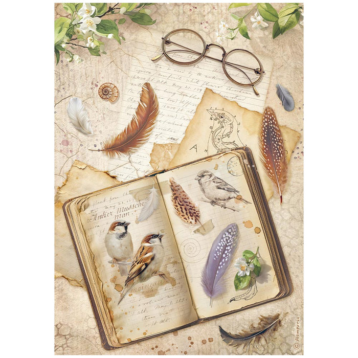 Rice paper Selection A4 - All Around