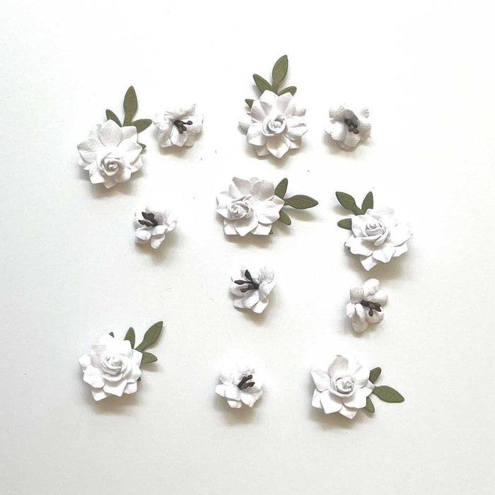 Florets Paper Flowers - Salt