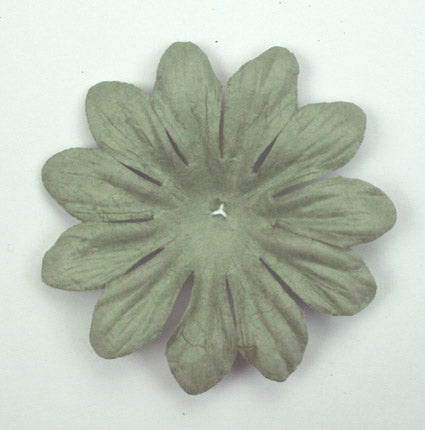 Sage 7cm single flower