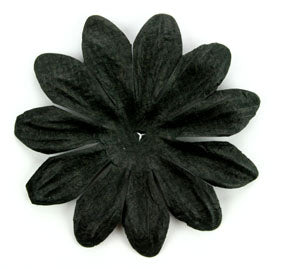 Black 7cm Single Flower