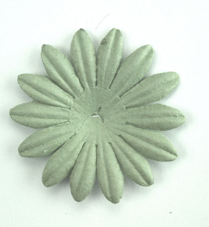 Sage 4cm Single Flower