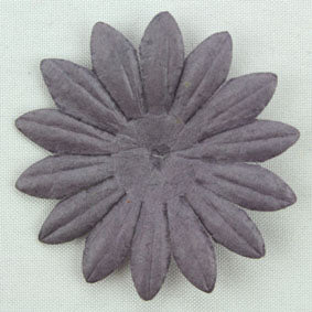 Aubergine 4cm Single Flower