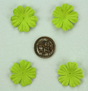 Lime Green 2.5cm Single flower