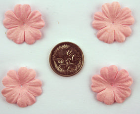 Pale Pink 2.5cm Single flower