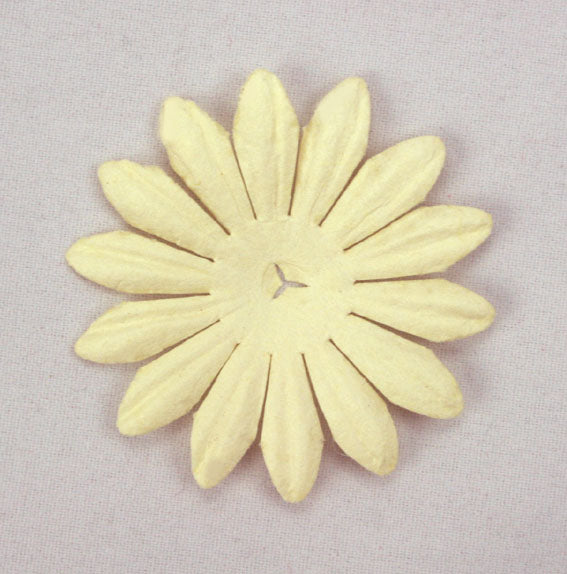 Ivory 4 cm single flower