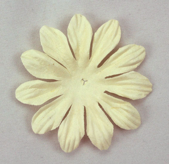 Ivory 6cm single flower