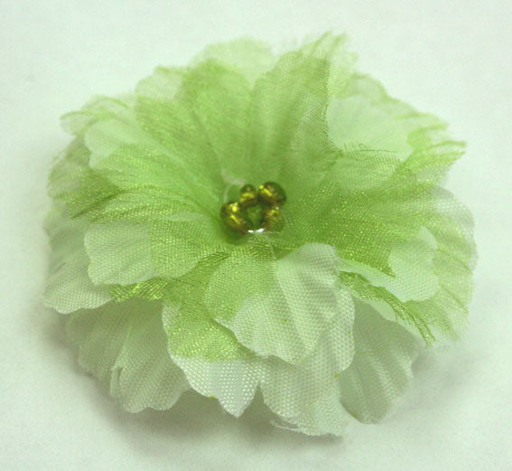 Primula 4.5cm - Pale Green