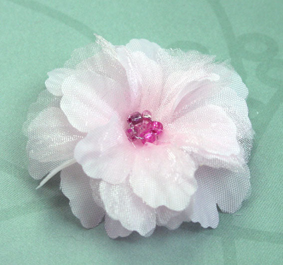 Primula 4.5cm - Pale Pink