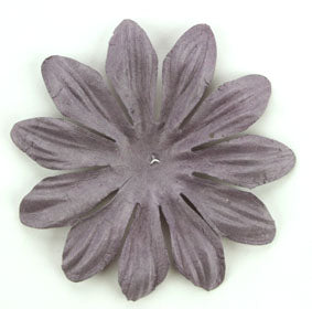 Aubergine 6cm Single Flower