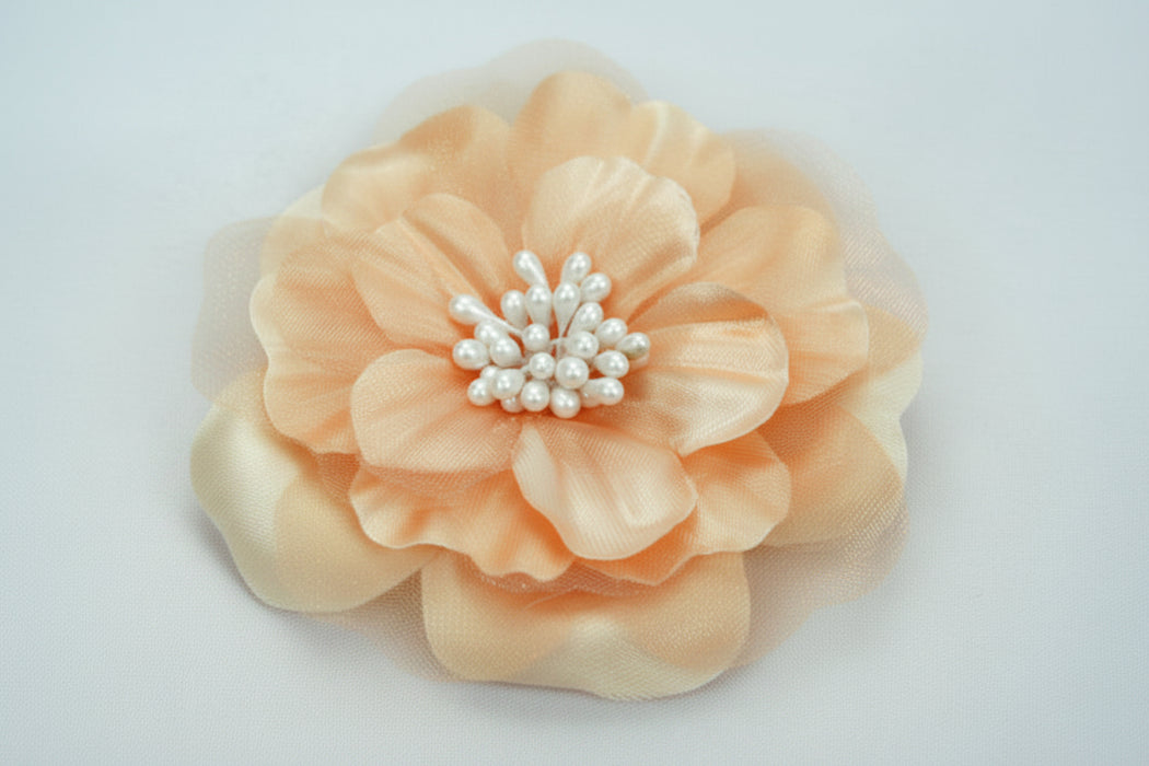 Heirloom 6.5cm - Peach