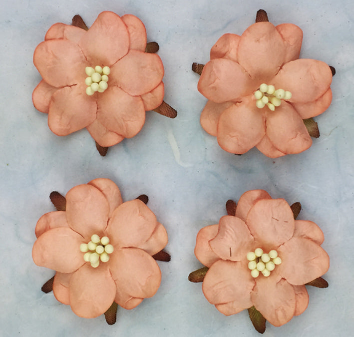 Jasmine Flower - Peach