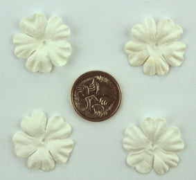 White 2.5cm Single flower.