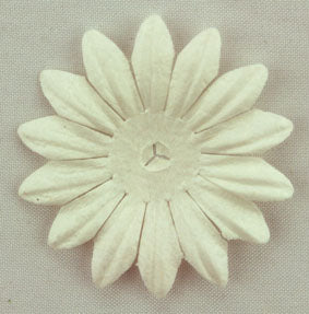 White 4cm Single flower.