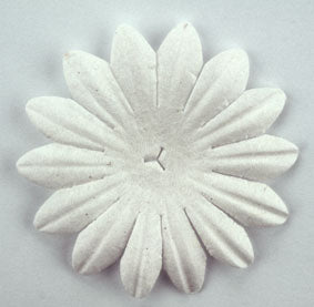 White 5cm Single flower.