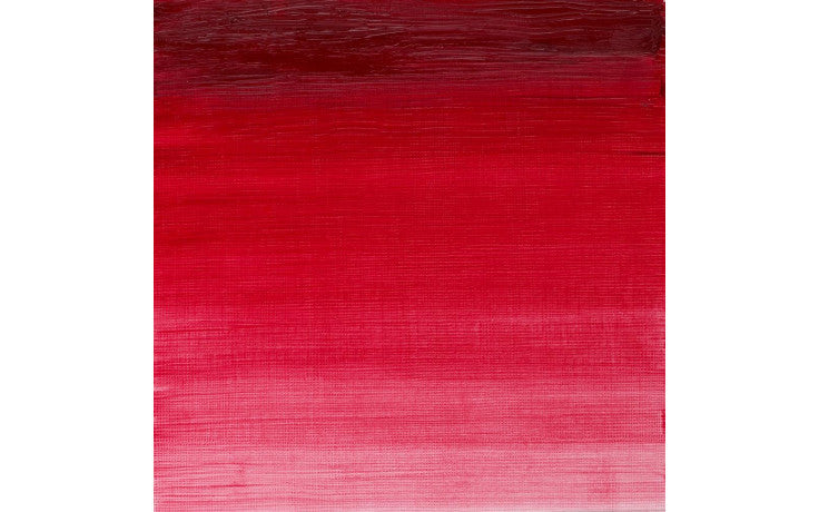 Winton Oil Paint - Permanent Alizarin Crimson