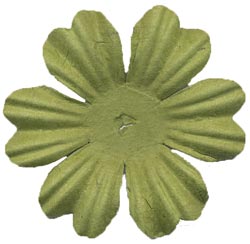 Parakeet Primula 1.5" 10/Pkg